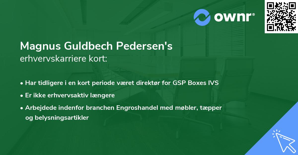 Magnus Guldbech Pedersen's erhvervskarriere kort
