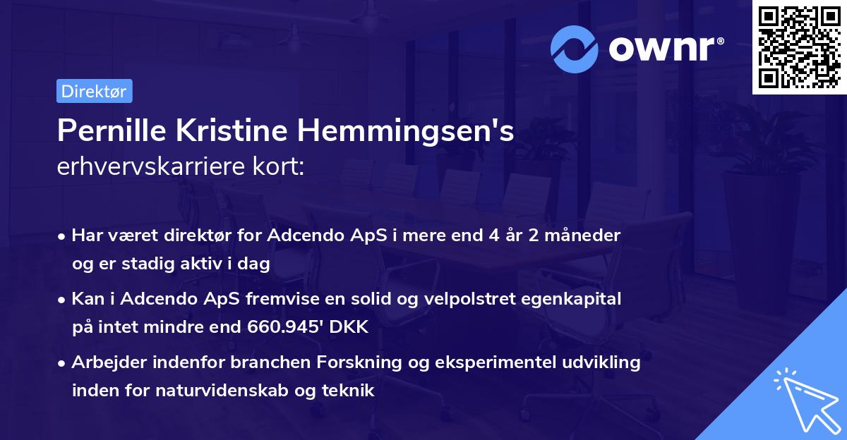 Pernille Kristine Hemmingsen's erhvervskarriere kort