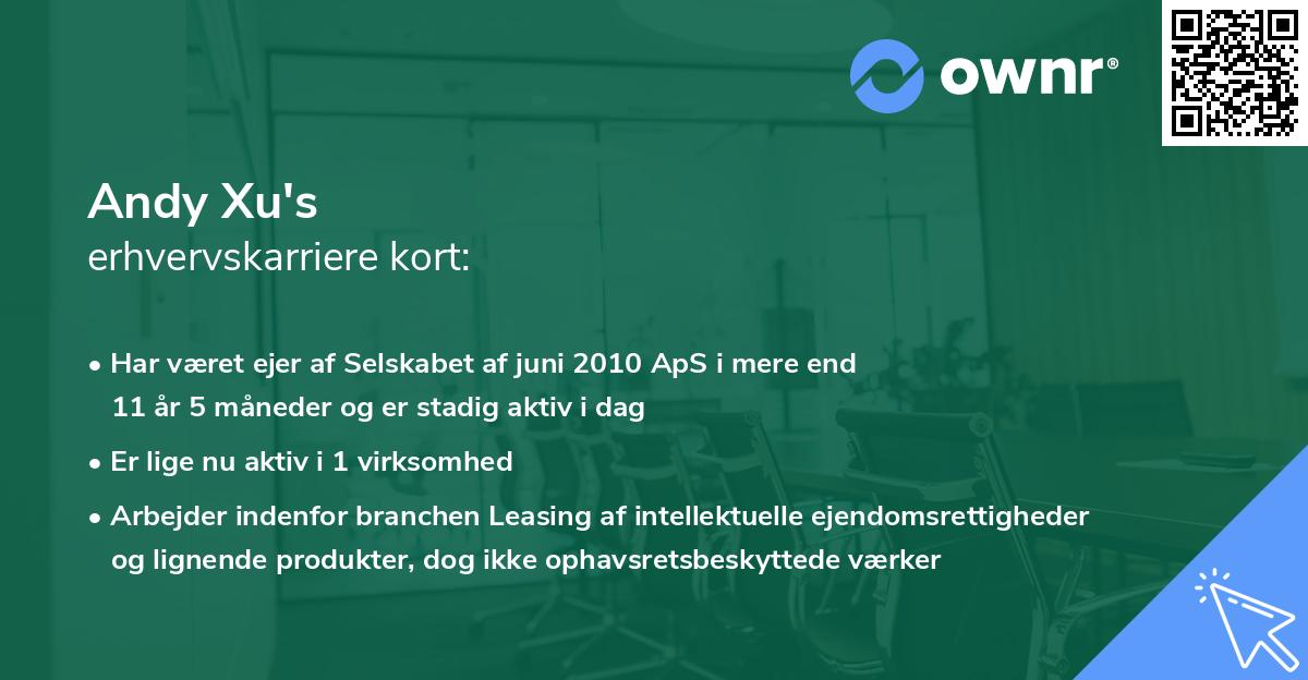 Andy Xu's erhvervskarriere kort