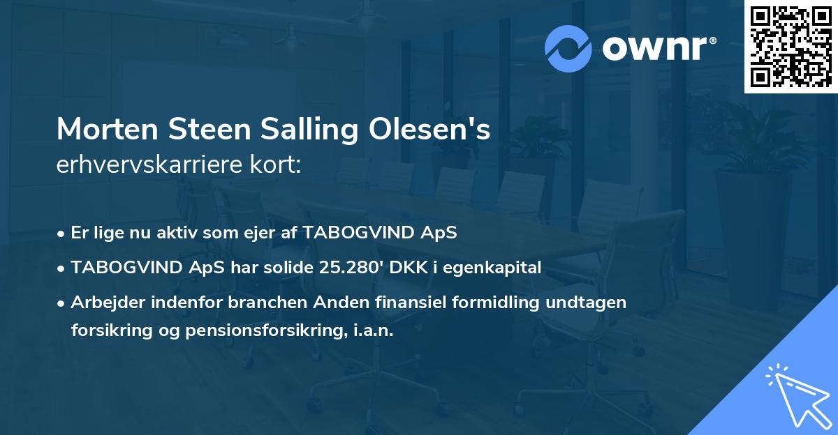 Morten Steen Salling Olesen's erhvervskarriere kort