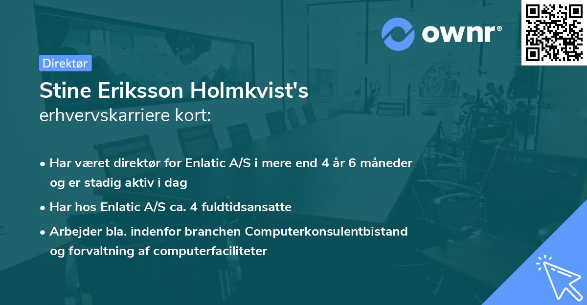 Stine Eriksson Holmkvist's erhvervskarriere kort