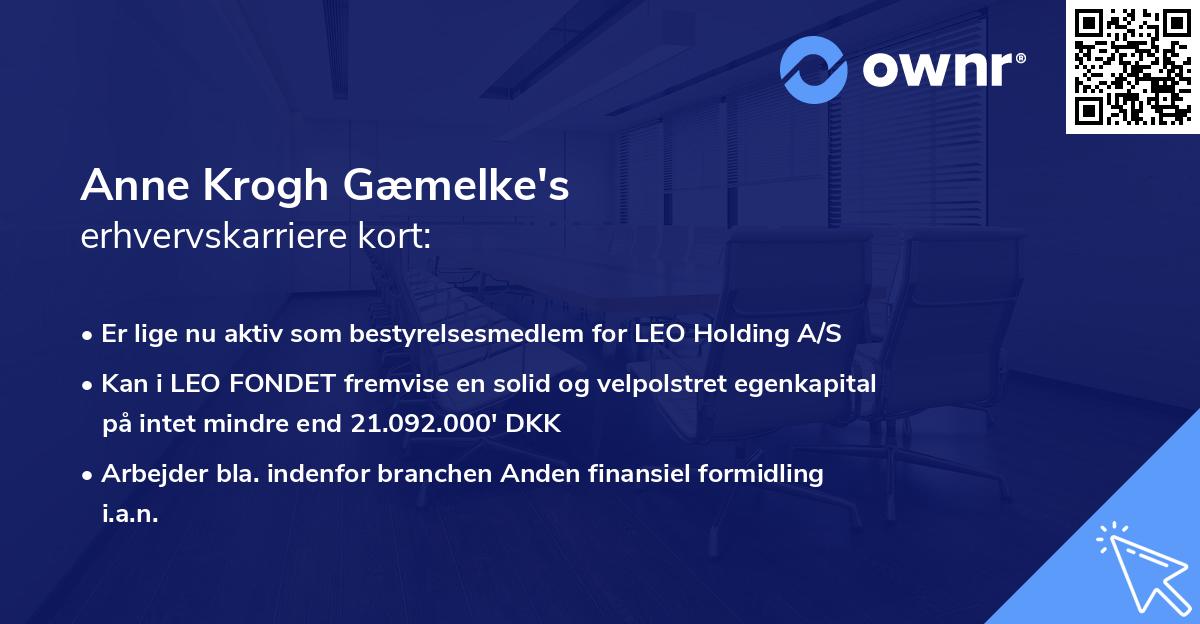 Anne Krogh Gæmelke's erhvervskarriere kort