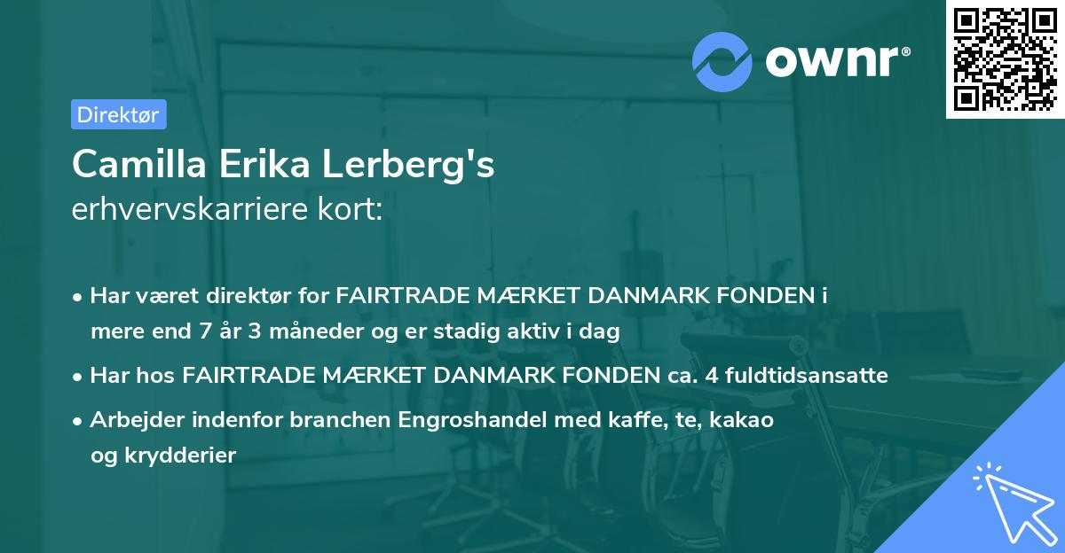 Camilla Erika Lerberg's erhvervskarriere kort