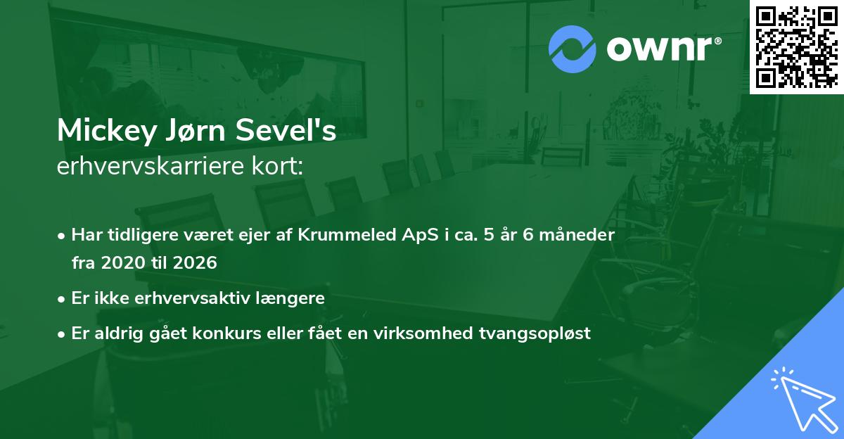 Mickey Jørn Sevel's erhvervskarriere kort