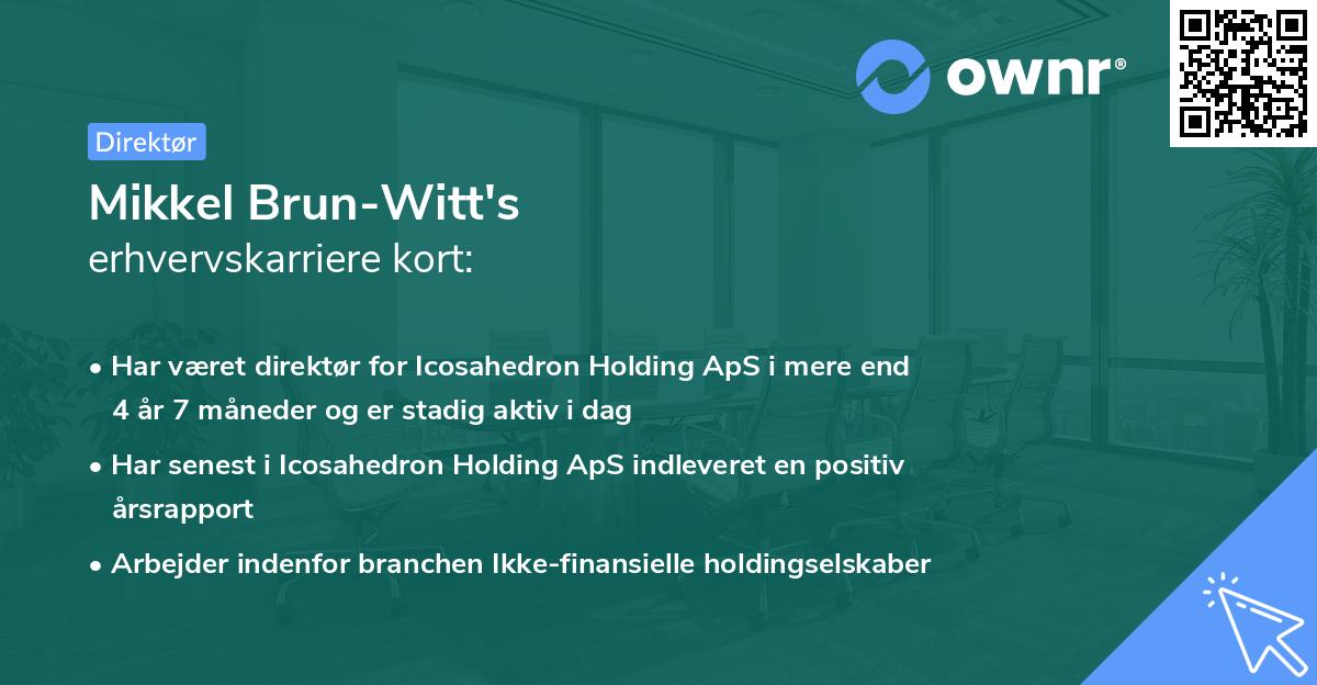 Mikkel Brun-Witt's erhvervskarriere kort
