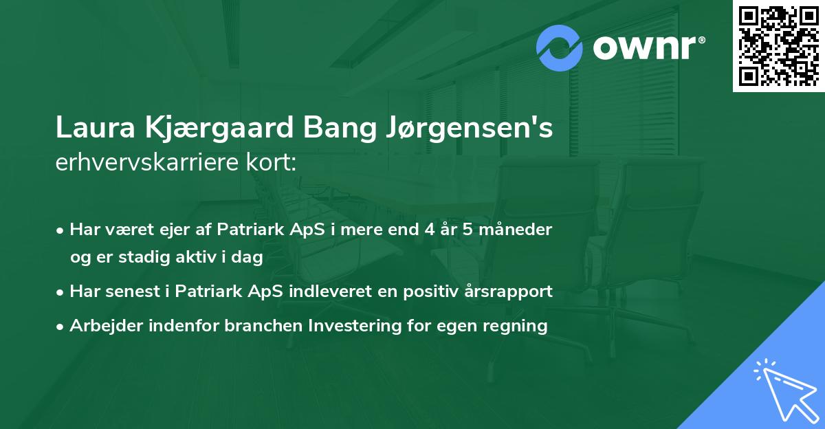 Laura Kjærgaard Bang Jørgensen's erhvervskarriere kort