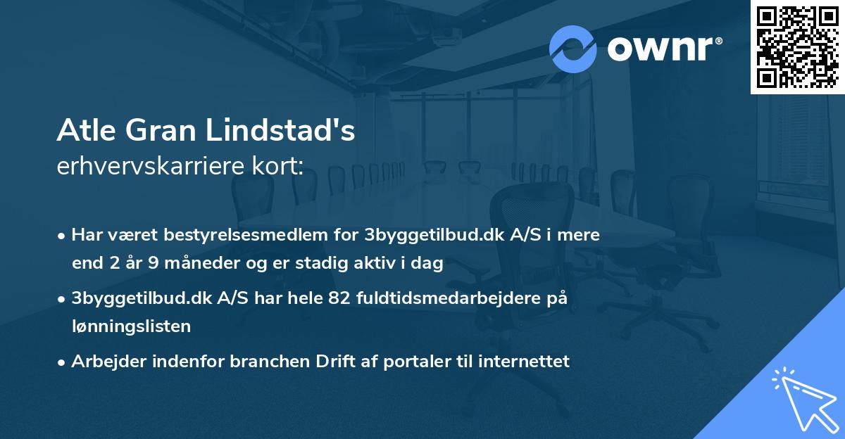 Atle Gran Lindstad's erhvervskarriere kort