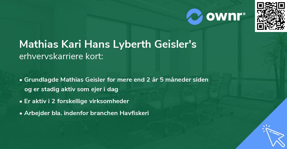 Mathias Kari Hans Lyberth Geisler's erhvervskarriere kort