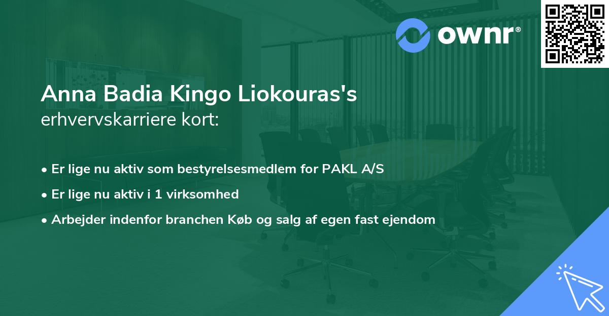 Anna Badia Kingo Liokouras's erhvervskarriere kort