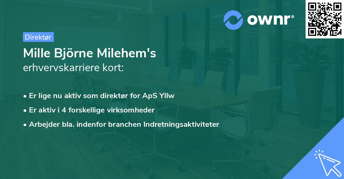 Mille Björne Milehem's erhvervskarriere kort