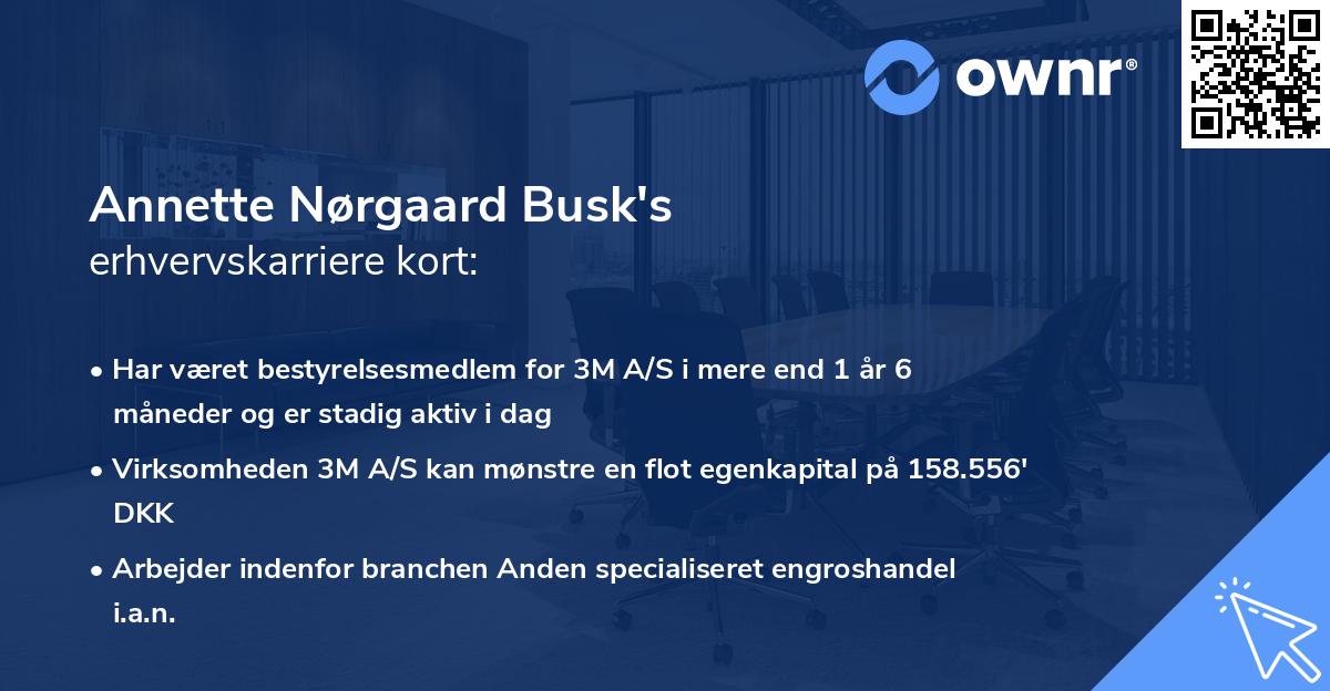 Annette Nørgaard Busk's erhvervskarriere kort