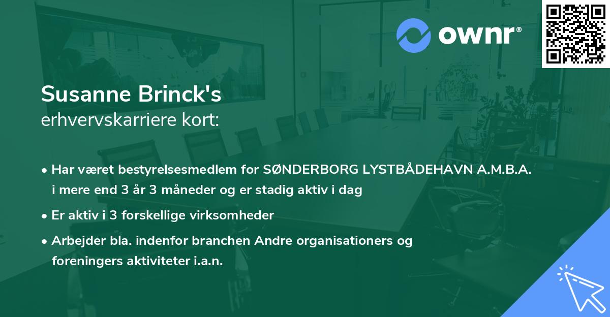 Susanne Brinck's erhvervskarriere kort