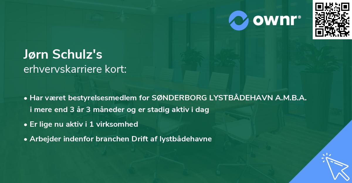 Jørn Schulz's erhvervskarriere kort