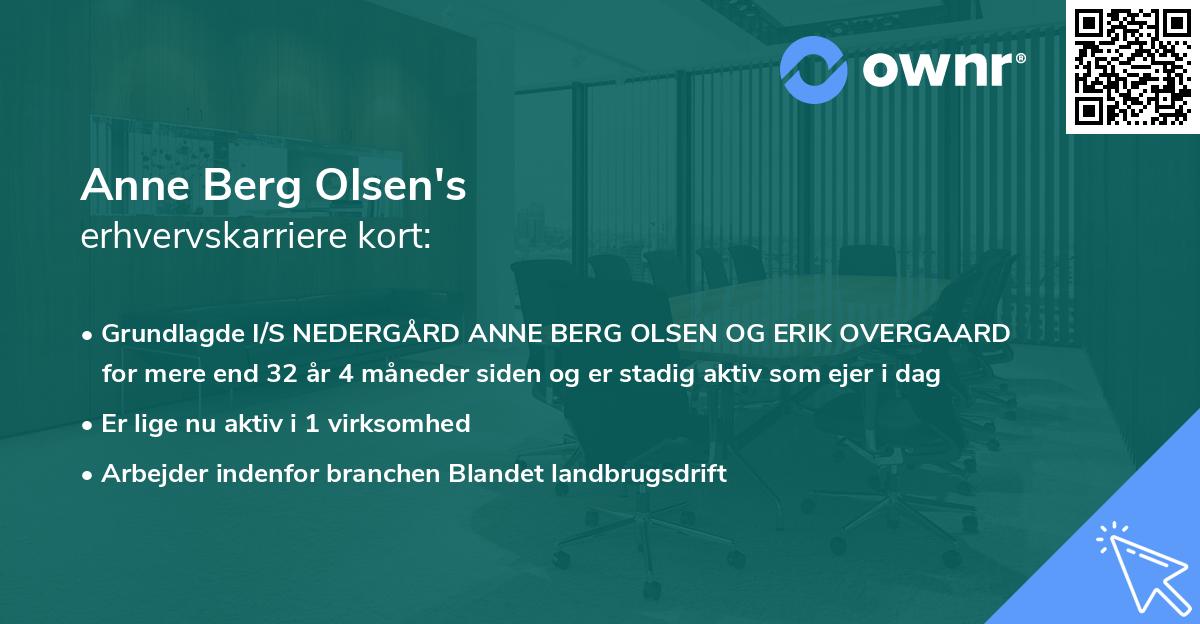 Anne Berg Olsen's erhvervskarriere kort