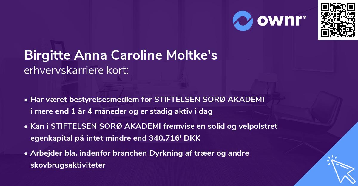 Birgitte Anna Caroline Moltke's erhvervskarriere kort