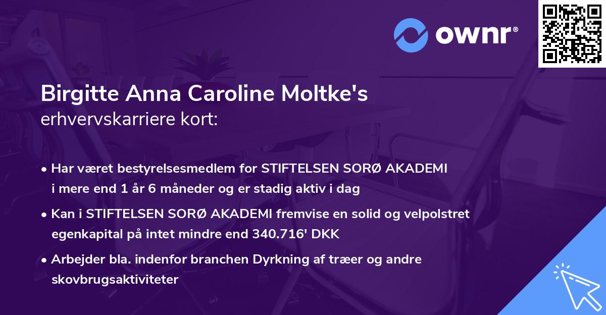 Birgitte Anna Caroline Moltke's erhvervskarriere kort