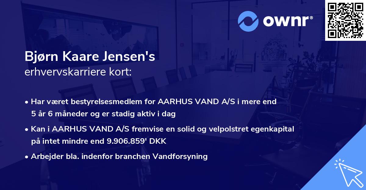 Bjørn Kaare Jensen's erhvervskarriere kort