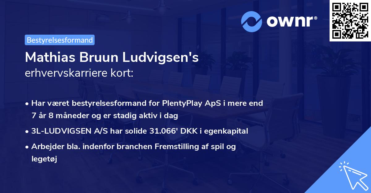Mathias Bruun Ludvigsen's erhvervskarriere kort