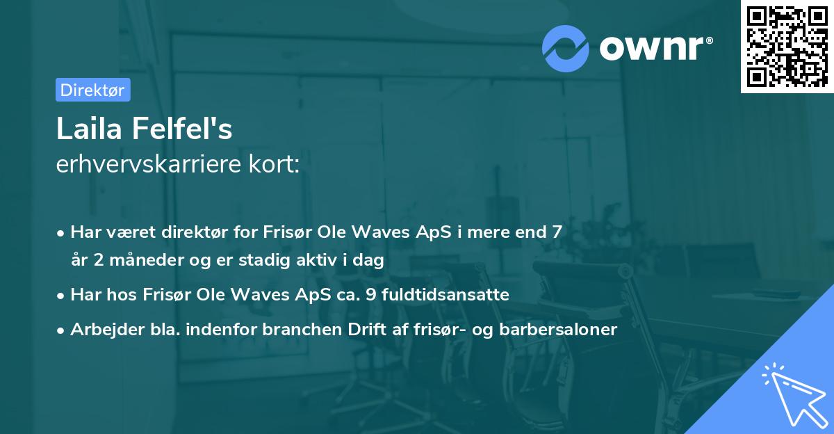 Laila Felfel's erhvervskarriere kort