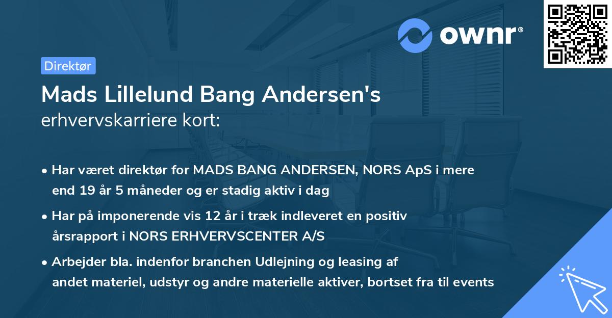 Mads Lillelund Bang Andersen's erhvervskarriere kort