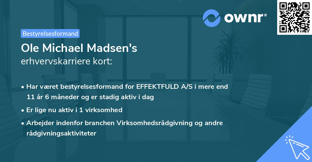 Ole Michael Madsen's erhvervskarriere kort