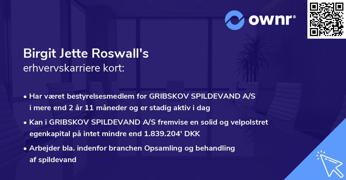 Birgit Jette Roswall's erhvervskarriere kort