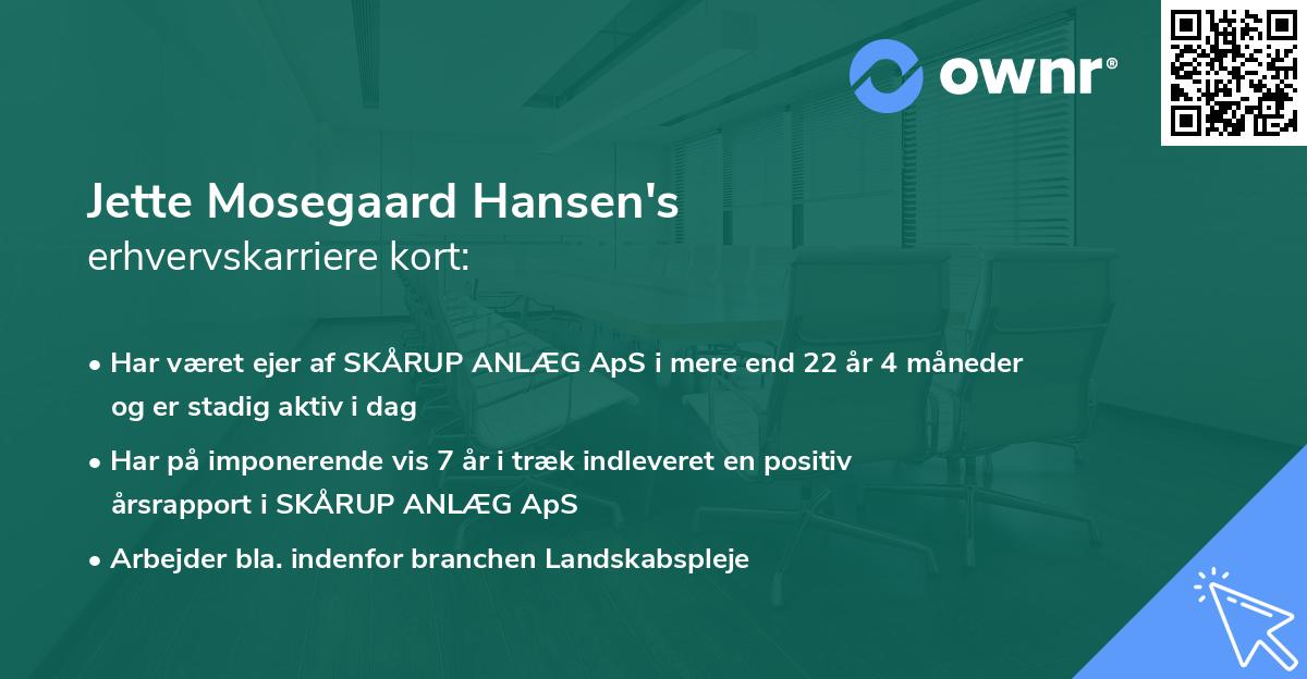 Jette Mosegaard Hansen's erhvervskarriere kort