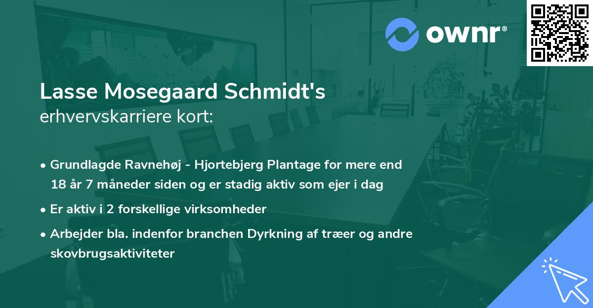 Lasse Mosegaard Schmidt's erhvervskarriere kort