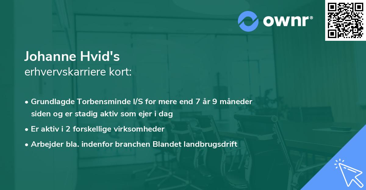 Johanne Hvid's erhvervskarriere kort