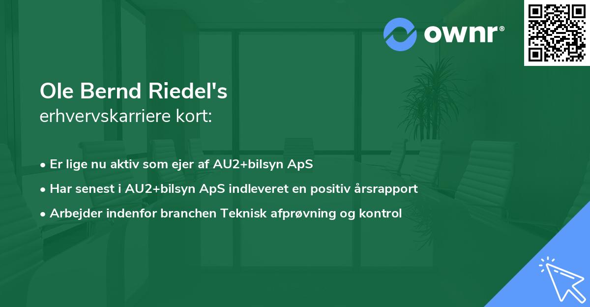 Ole Bernd Riedel's erhvervskarriere kort
