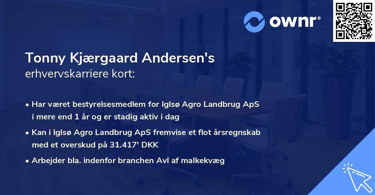 Tonny Kjærgaard Andersen's erhvervskarriere kort