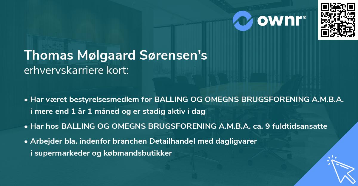 Thomas Mølgaard Sørensen's erhvervskarriere kort