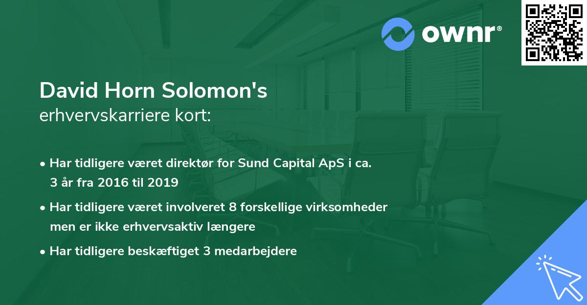 David Horn Solomon's erhvervskarriere kort