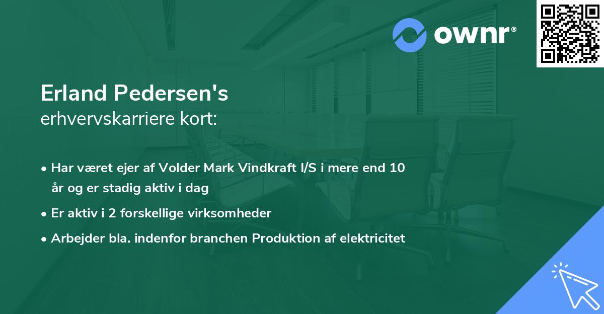 Erland Pedersen's erhvervskarriere kort