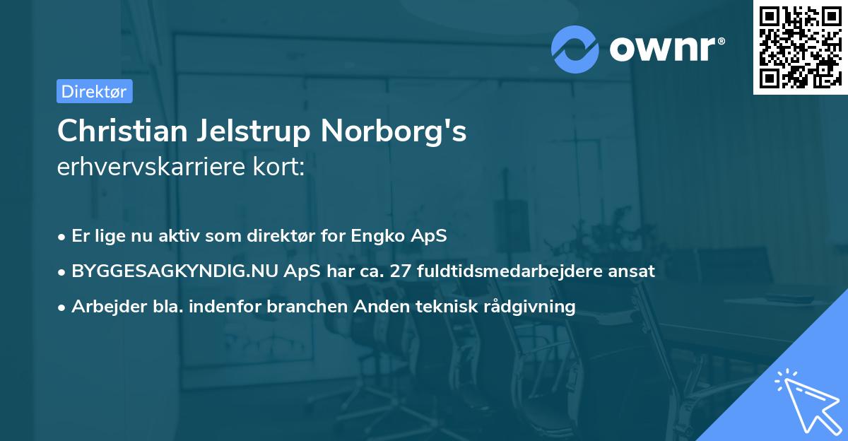 Christian Jelstrup Norborg's erhvervskarriere kort