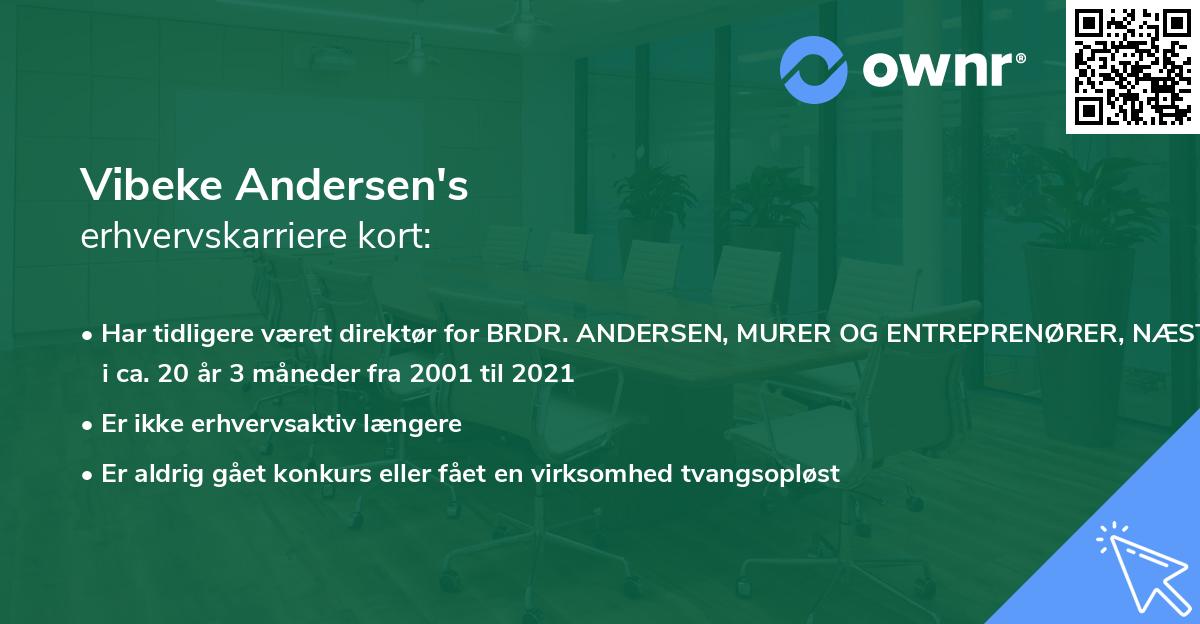 Vibeke Andersen's erhvervskarriere kort