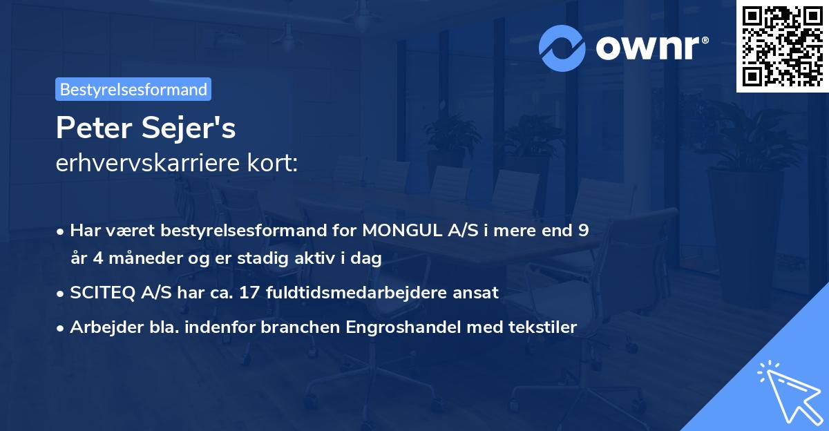 Peter Sejer's erhvervskarriere kort