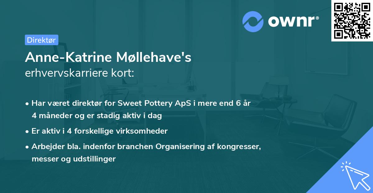 Anne-Katrine Møllehave's erhvervskarriere kort