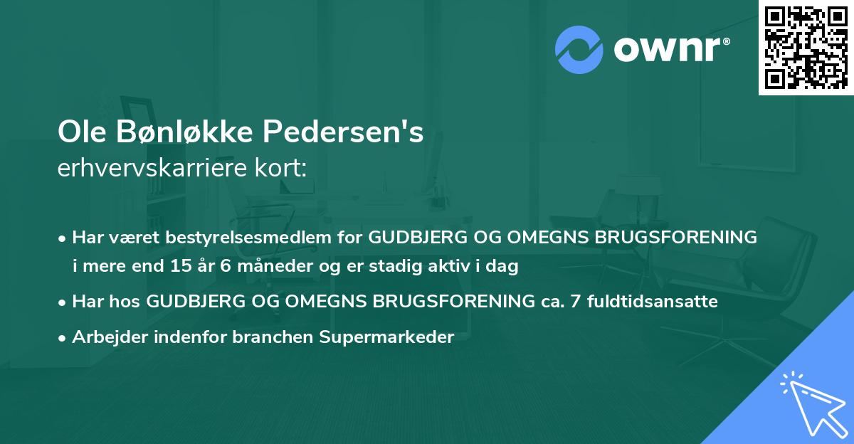 Ole Bønløkke Pedersen's erhvervskarriere kort