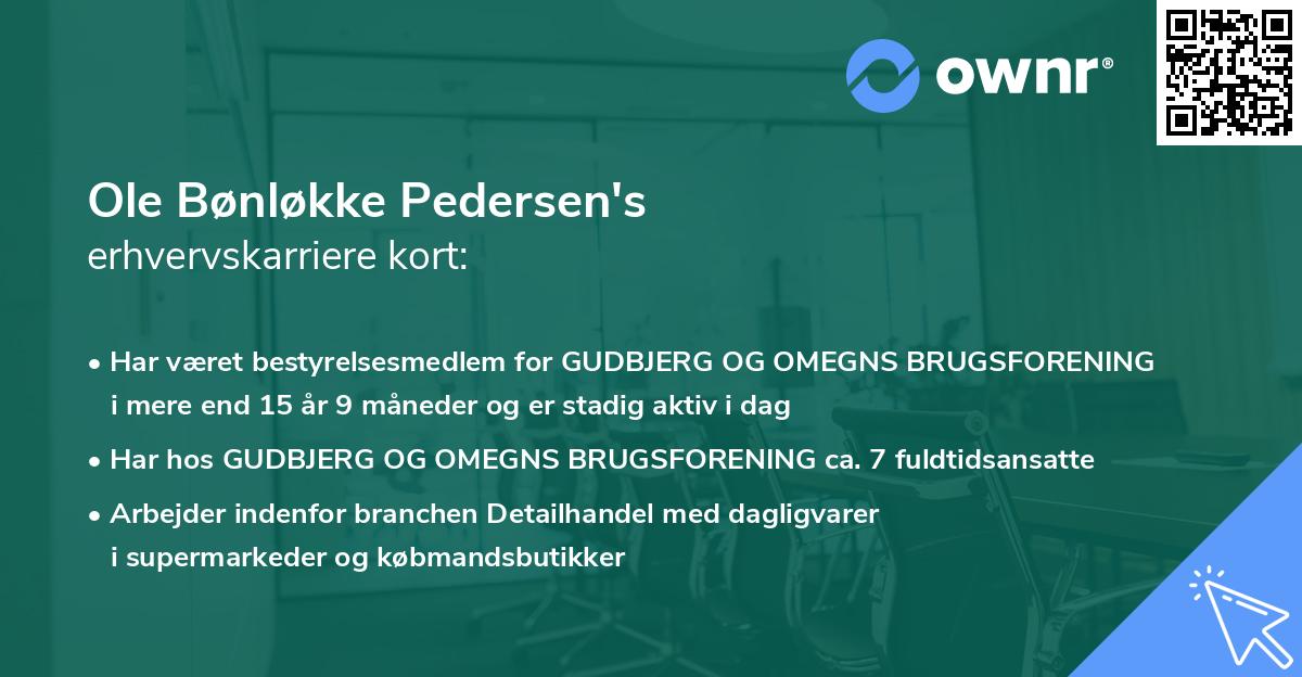 Ole Bønløkke Pedersen's erhvervskarriere kort