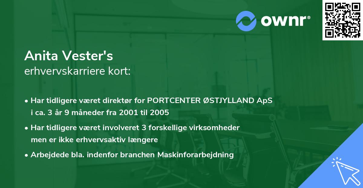 Anita Vester's erhvervskarriere kort
