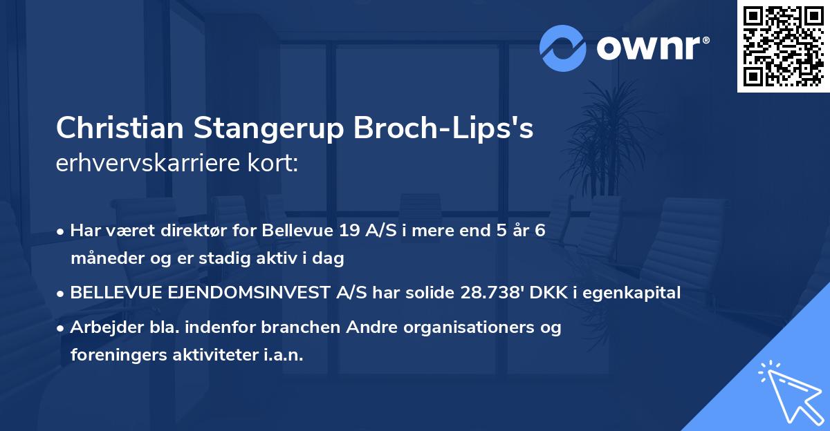 Christian Stangerup Broch-Lips's erhvervskarriere kort