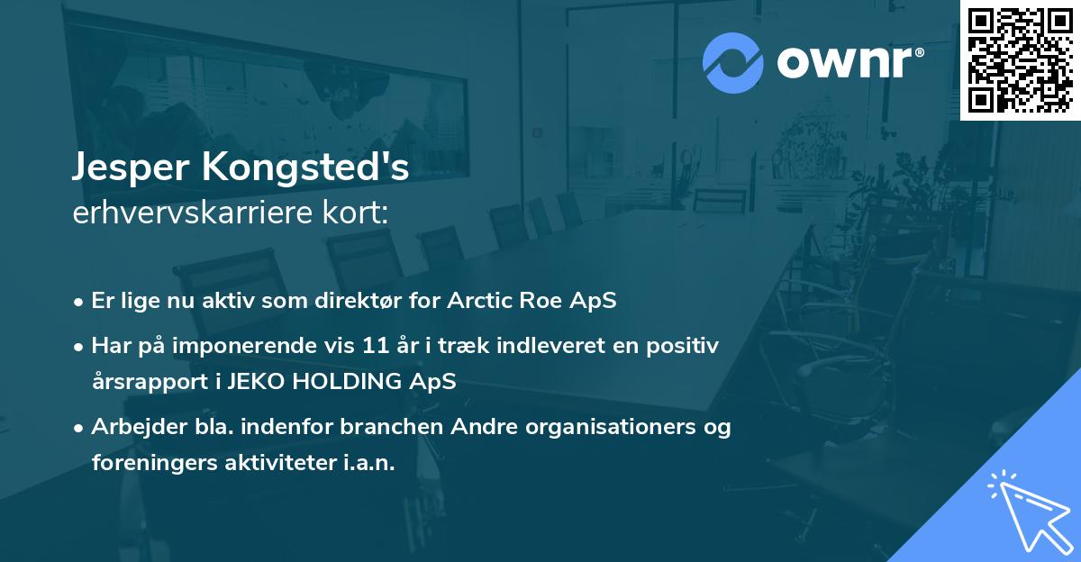 Jesper Kongsted's erhvervskarriere kort
