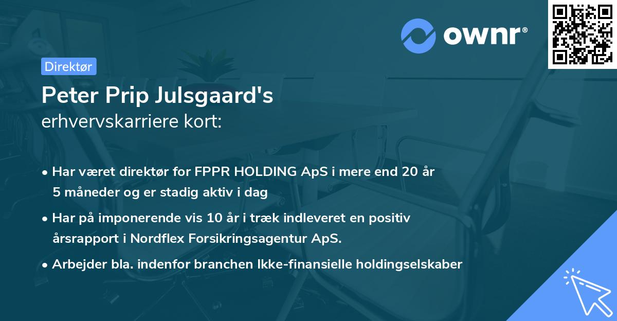 Peter Prip Julsgaard's erhvervskarriere kort