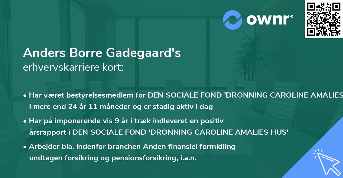 Anders Borre Gadegaard's erhvervskarriere kort