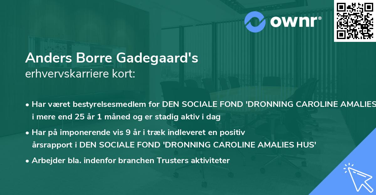 Anders Borre Gadegaard's erhvervskarriere kort