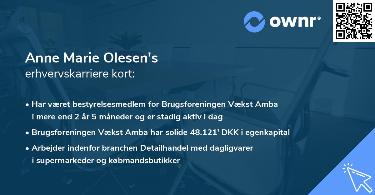 Anne Marie Olesen's erhvervskarriere kort