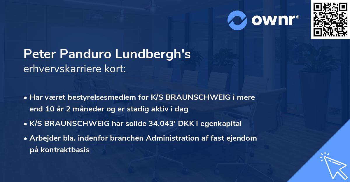 Peter Panduro Lundbergh's erhvervskarriere kort