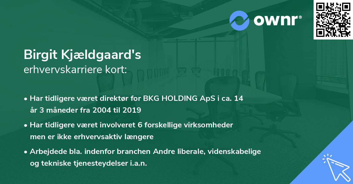 Birgit Kjældgaard's erhvervskarriere kort