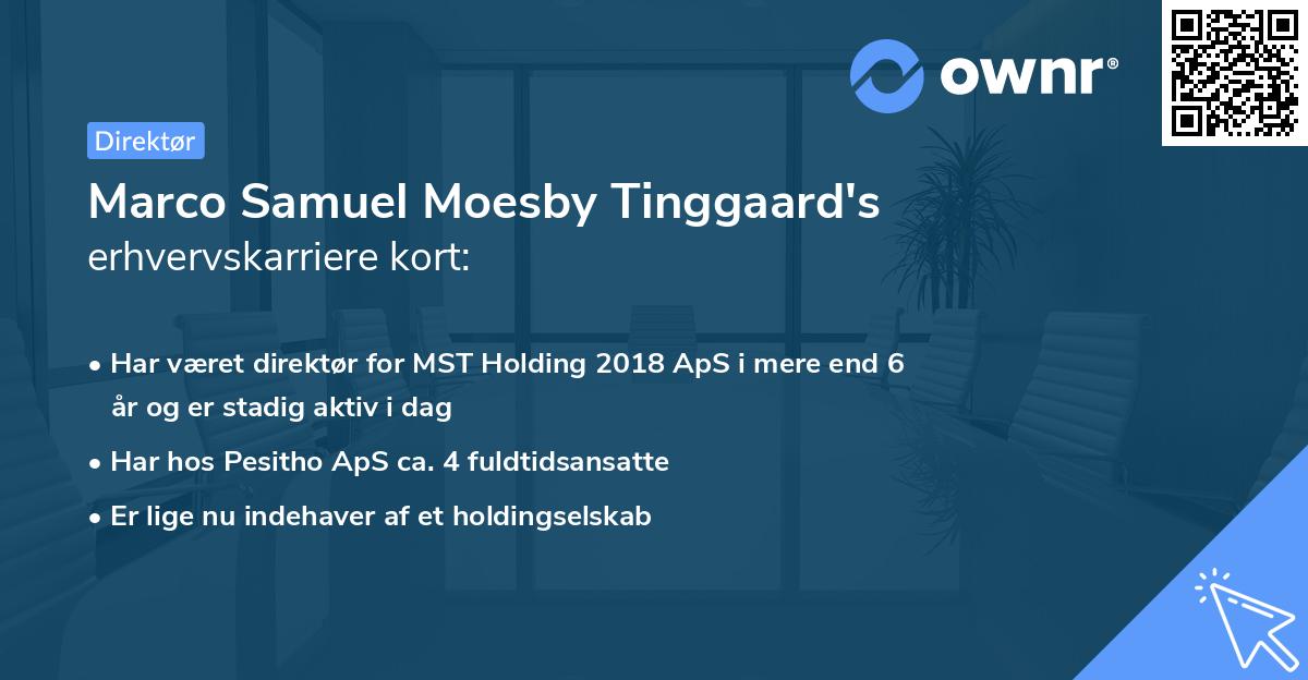 Marco Samuel Moesby Tinggaard's erhvervskarriere kort